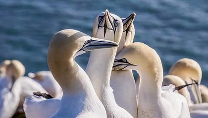 中方发布会：中美经贸高层会谈取得了实质性进展，达成了重要共识