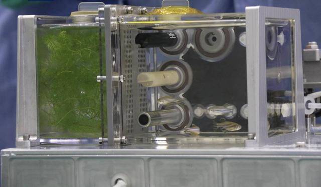 安全回家!神十八乘组“太空出差”半年都干了些啥?