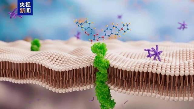 全球首次!复旦大学科研团队发现帕金森病全新治疗靶点