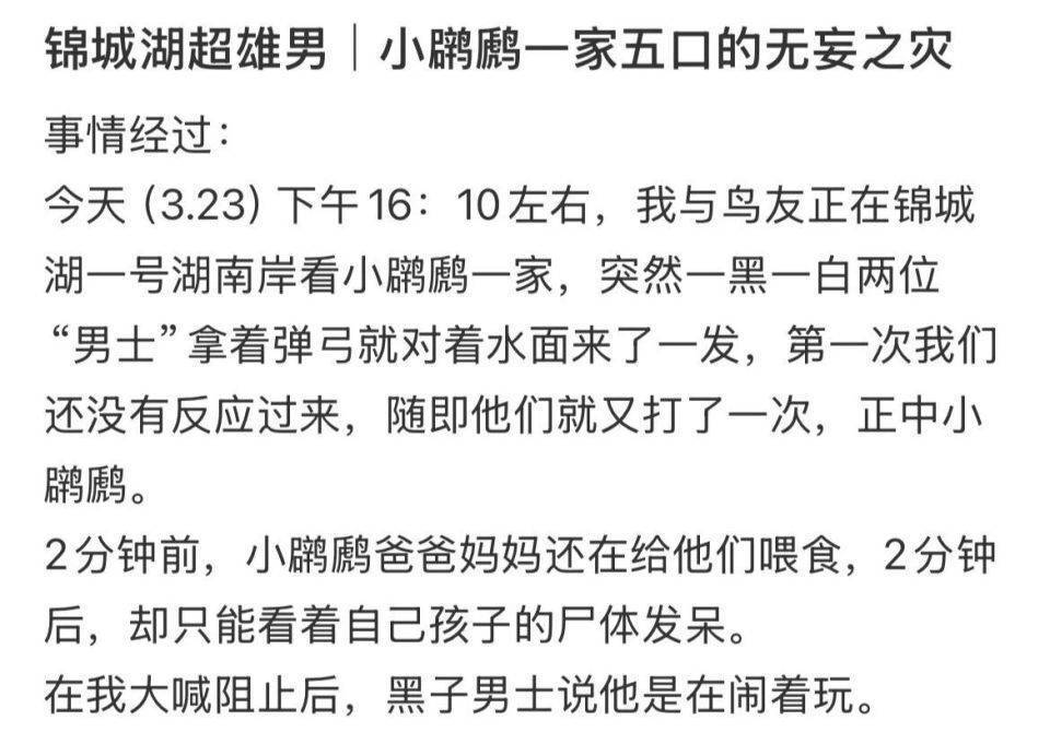 成都男子弹弓击杀保护动物，林业处：公安在调查核实