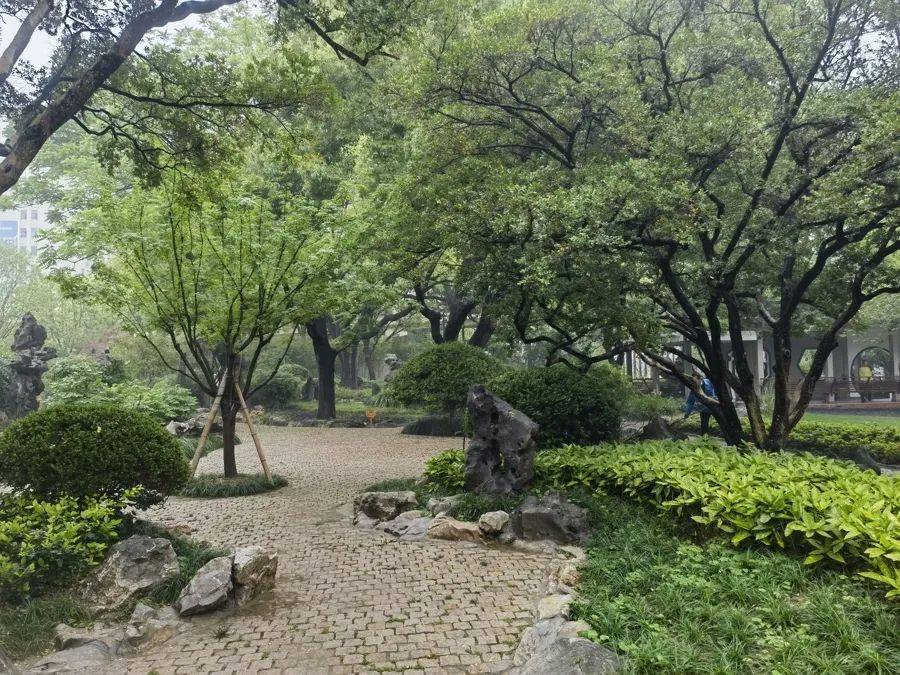 紧急提醒:瞬间爆发!上海市民崩溃:密密麻麻,蠕蠕爬行...“梧桐区”已开始战斗,白蚁或提前分飞