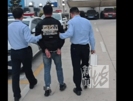 男子太心痛！价值50万元信鸽被偷，翅膀全被剪成“走地鸡”