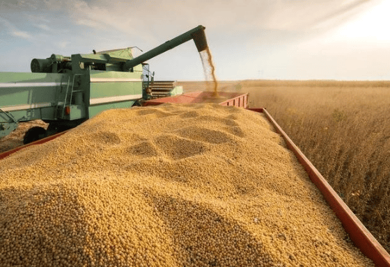 攻守易型了！中国又走了一步好棋，出手签下3万吨大单，太罕见