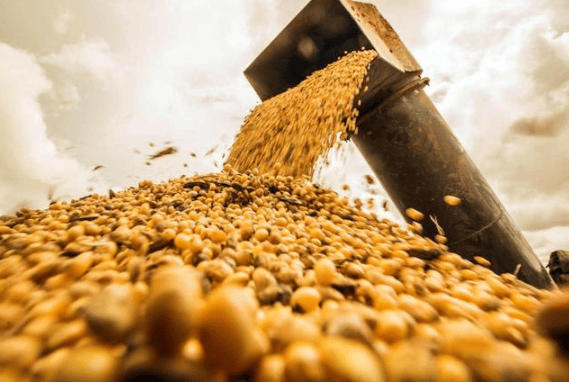 攻守易型了！中国又走了一步好棋，出手签下3万吨大单，太罕见