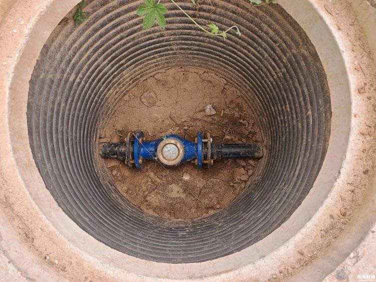 大棚遭断水，蔬菜被哄抢？甘肃一菜农在陕西承包的90座大棚几近绝收