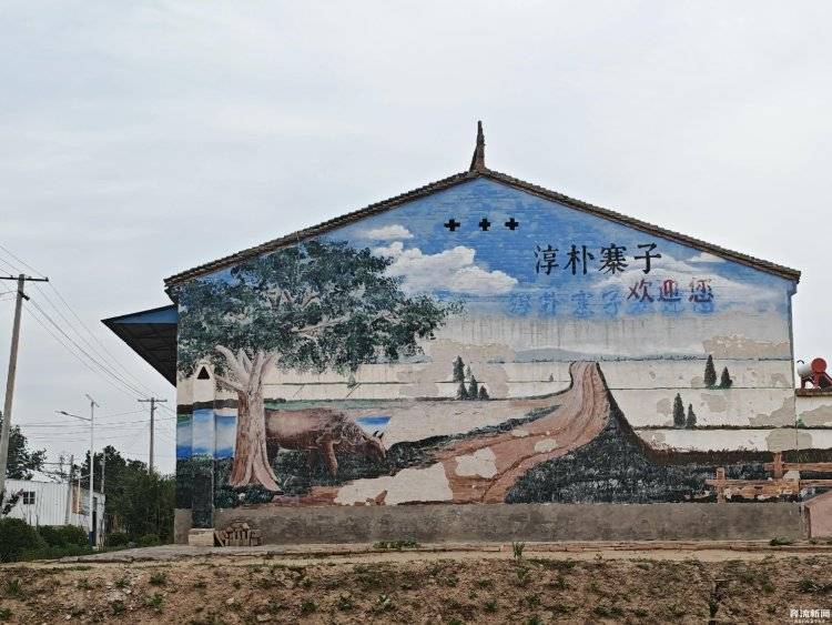 大棚遭断水，蔬菜被哄抢？甘肃一菜农在陕西承包的90座大棚几近绝收