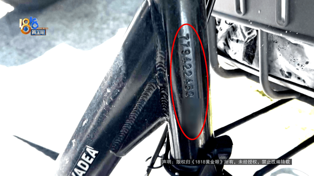 骑大牌电动车断成两截，结果还被厂商举报了？当事人：就跟老母猪上树一样