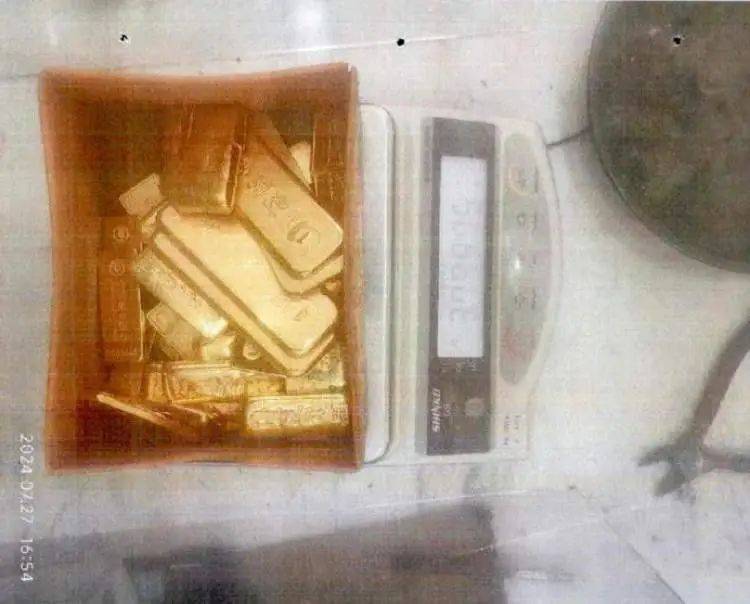 小树林里接头，一天背走2000多万元黄金！上海两人被判刑