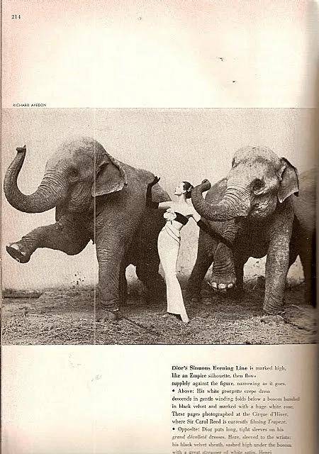 一个日本富二代，花7000万买了个二手铂金包，内幕是……