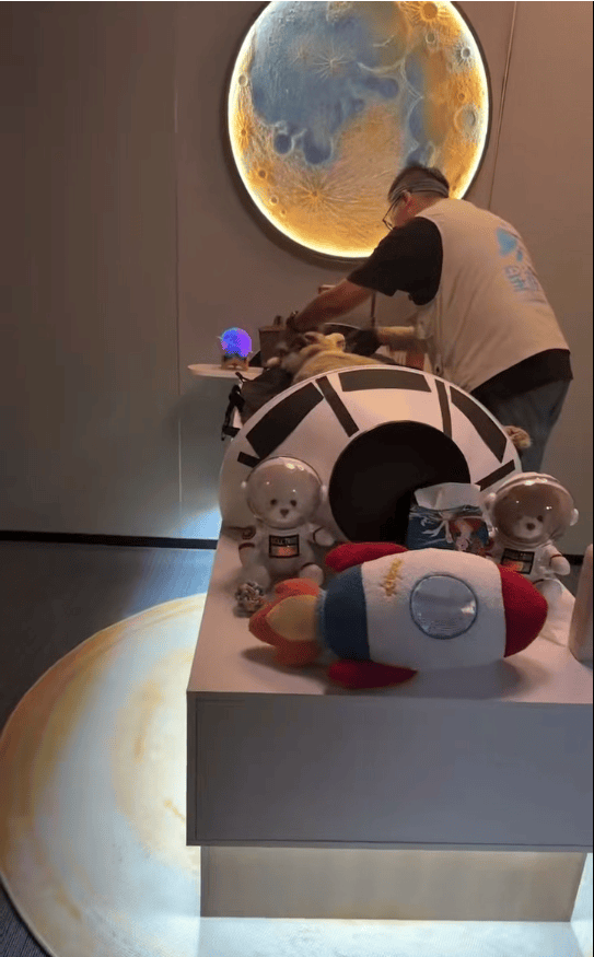 福建一宠物店给狗洗澡后放进烘干箱烤死?涉事门店曾谎称中暑,现已闭店