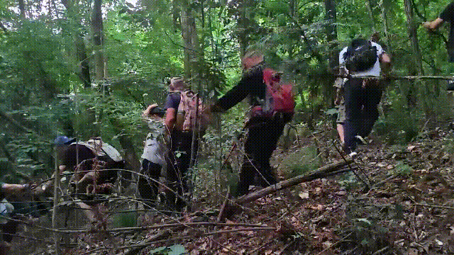 紧急寻人！男童参加夏令营山上走失！最新进展→