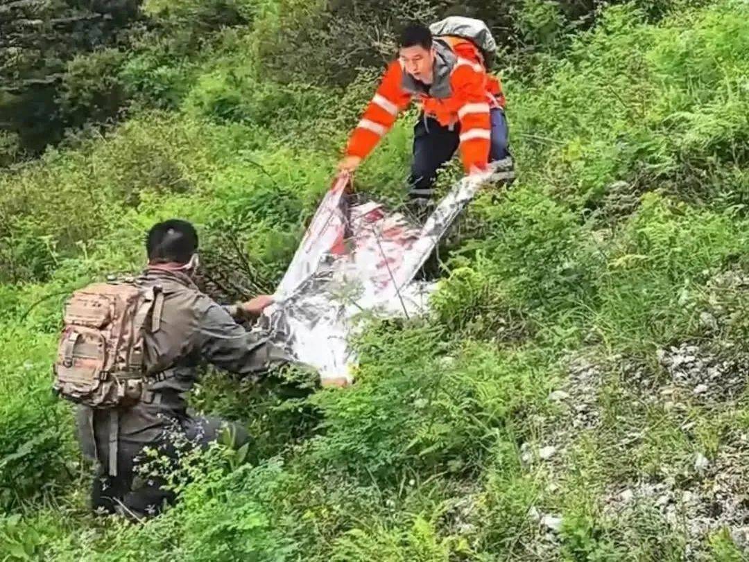 紧急寻人！男童参加夏令营山上走失！最新进展→