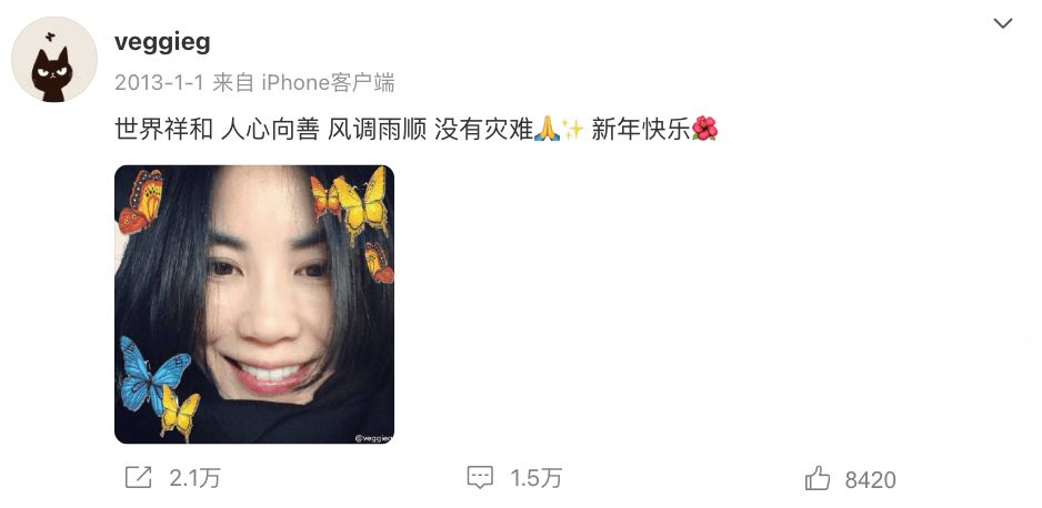 娱乐圈最红的女人,56岁了!