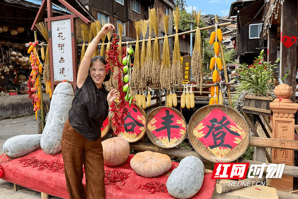 通道芋头古侗寨：“晒秋”“丰”景引客来