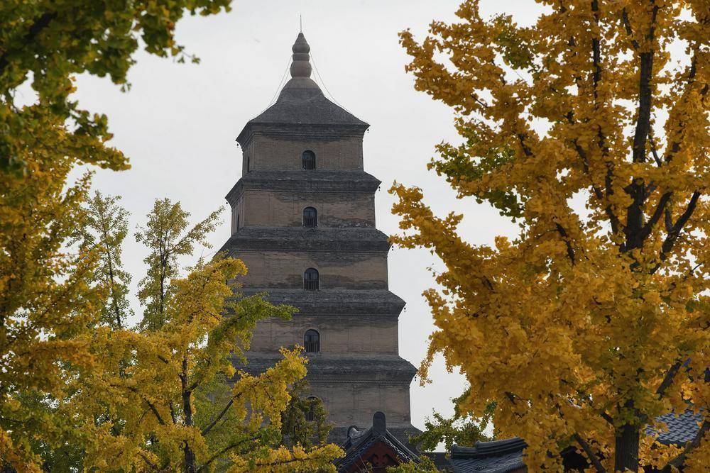 曲江文旅15亿流动负债压顶,年内五次进行股份拍卖,上半年营收下滑30%