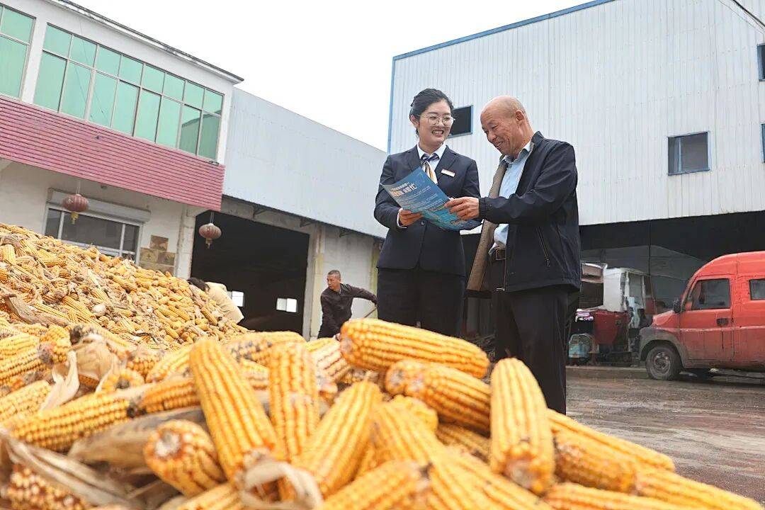 邮储银行金融服务秋收一线,助力丰收粮满仓