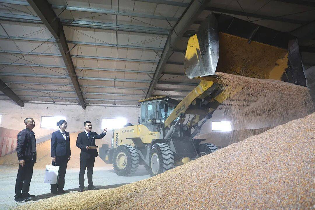 邮储银行金融服务秋收一线,助力丰收粮满仓