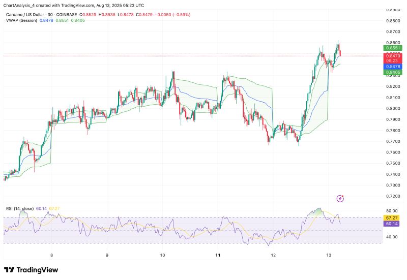 ADA-艾达币投资(艾达币可以长期持有吗) ADA-艾达币投资(艾达币可以长期持有吗)