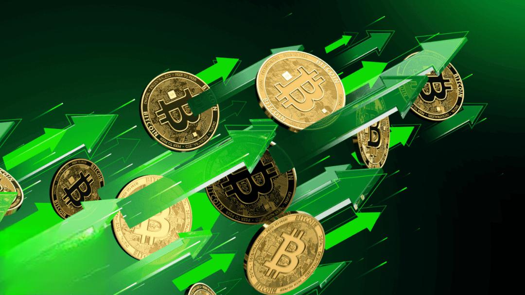 BSV-比特币平台(bsv比特币最新价格)