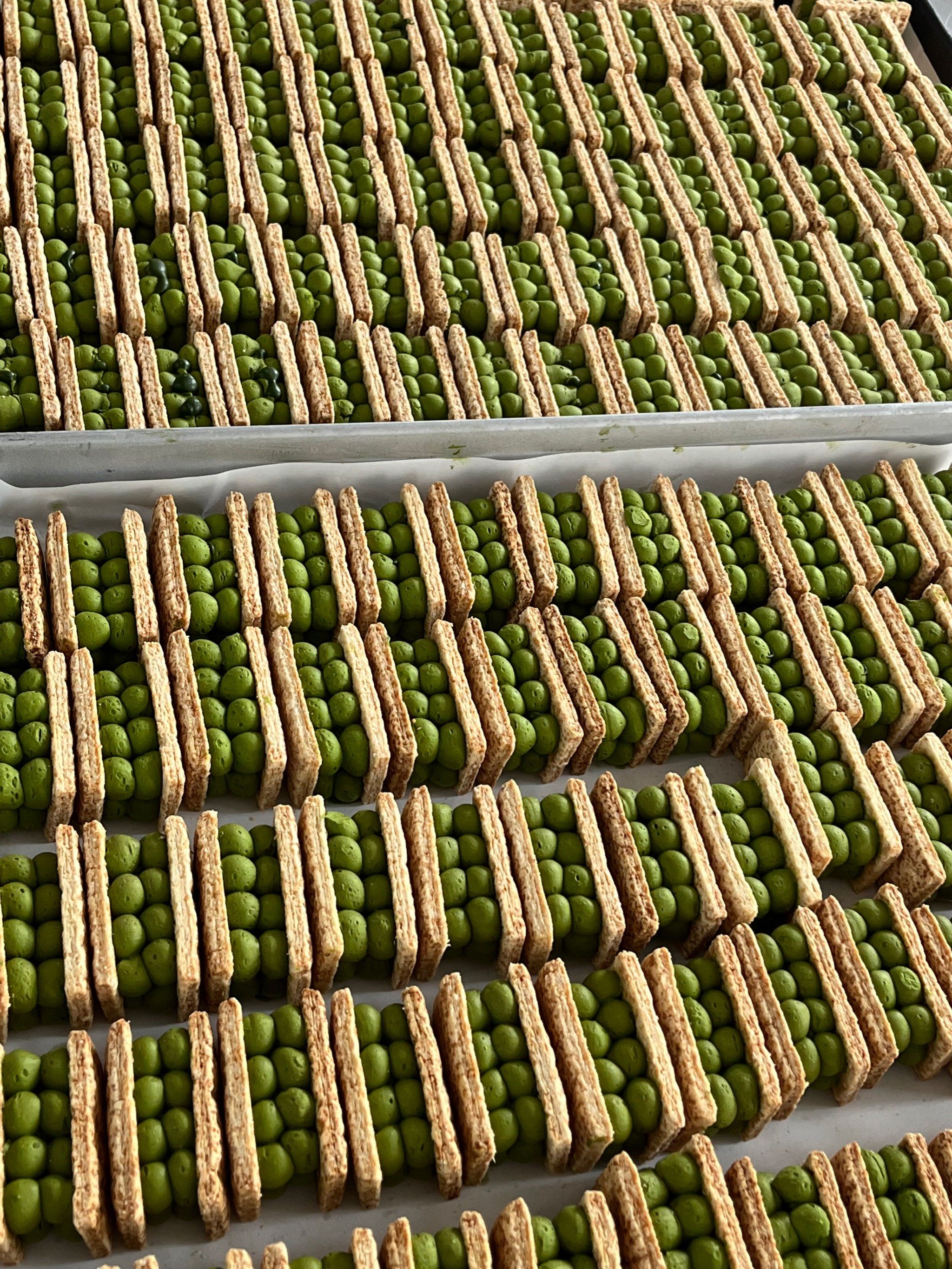 抹茶投资(抹茶投资是正规的平台吗安全吗可靠吗) 抹茶投资(抹茶投资是正规的平台吗安全吗可靠吗)