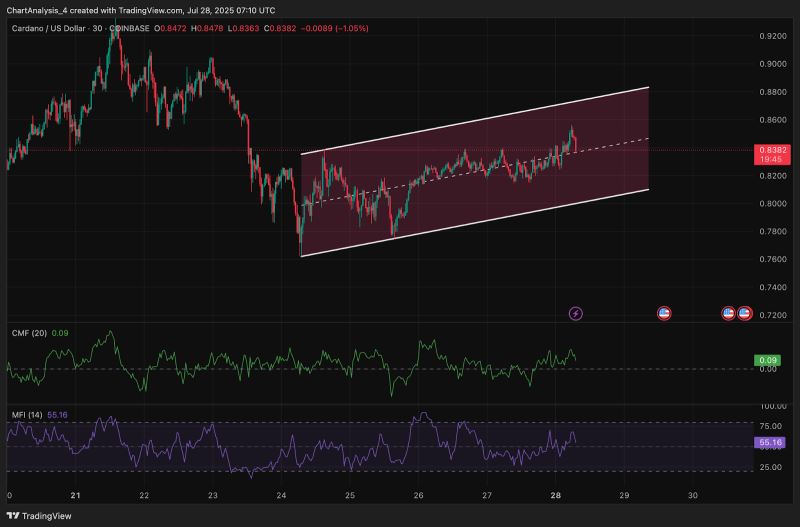 艾达币投资(艾达币长期投资怎么样)