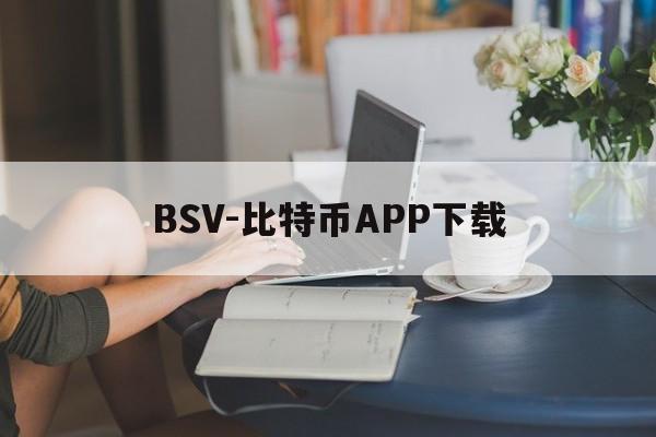 BSV-比特币APP下载(比特币sv钱包app下载安装最新版) BSV-比特币APP下载(比特币sv钱包app下载安装最新版)